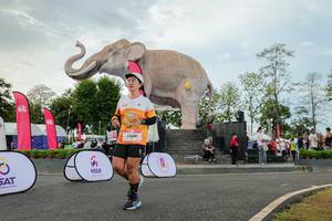 BIB: 
                            <button type="button" onclick="openModal(26528682)" class="btn btn-primary btn-sm float-right btn-popup" data-toggle="modal" data-target=".modal-high-quality">
                        <i class="fas fa-shopping-cart"></i> Add to Cart
                    </button>
                                            <button type="button" onclick="isThisMe(26528682, true)" class="btn btn-success btn-sm float-right btn-popup btn-isme hidden" data-toggle="tooltip" data-placement="bottom" title="นี่คือรูปของคุณใช่ไหม คลิกที่นี่เพื่อเอาเข้าอัลบั้ม">
                        <i class="fas fa-plus"></i> Add to album
                    </button>
                    <button type="button" onclick="isThisMe(26528682, false)" class="btn btn-warning btn-sm float-right btn-popup btn-isnotme hidden">
                        <i class="fas fa-ban"></i> Remove from album
                    </button>